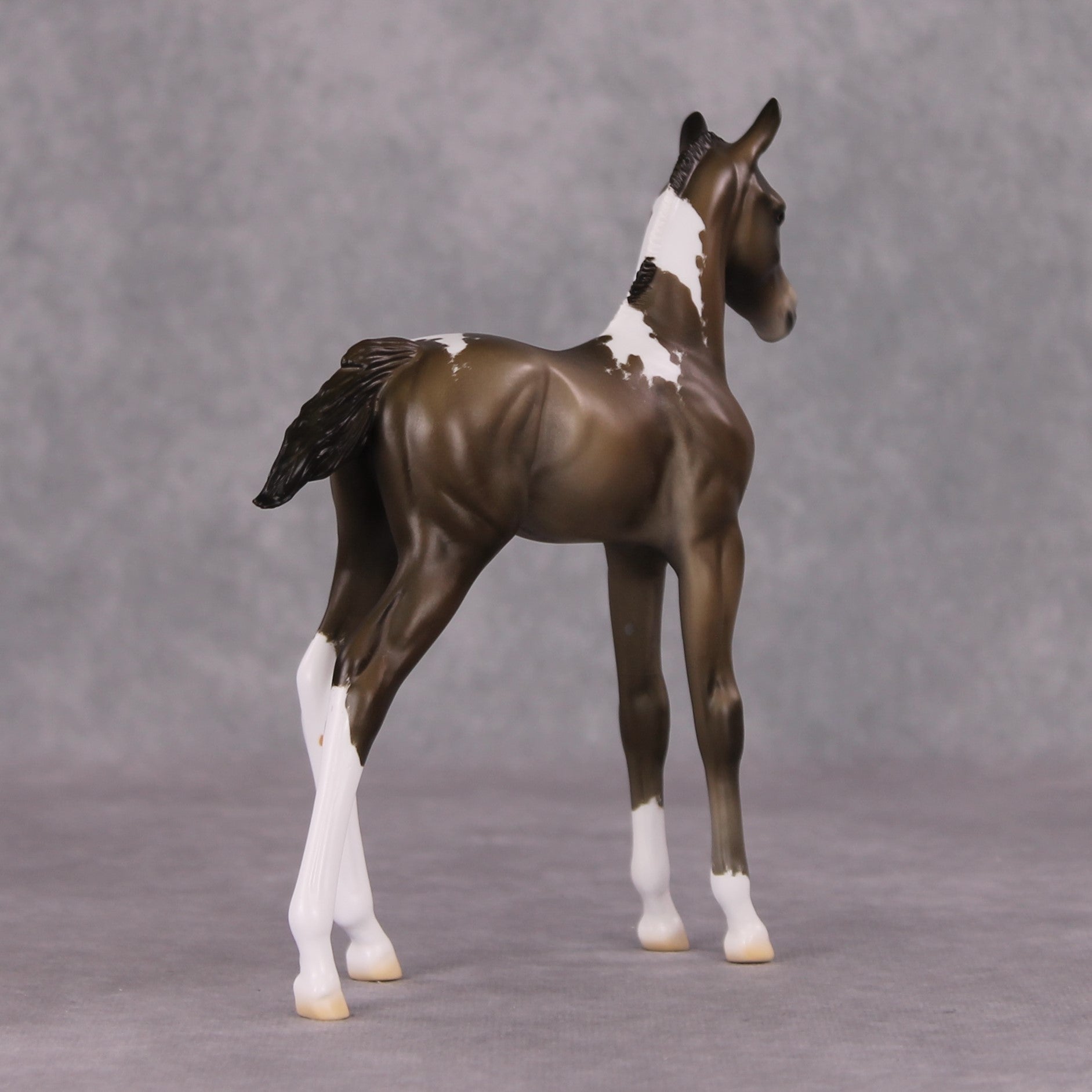 Midwinter OOAK Chestnut Pinto Arabian Foal By Jess Hamill HS24