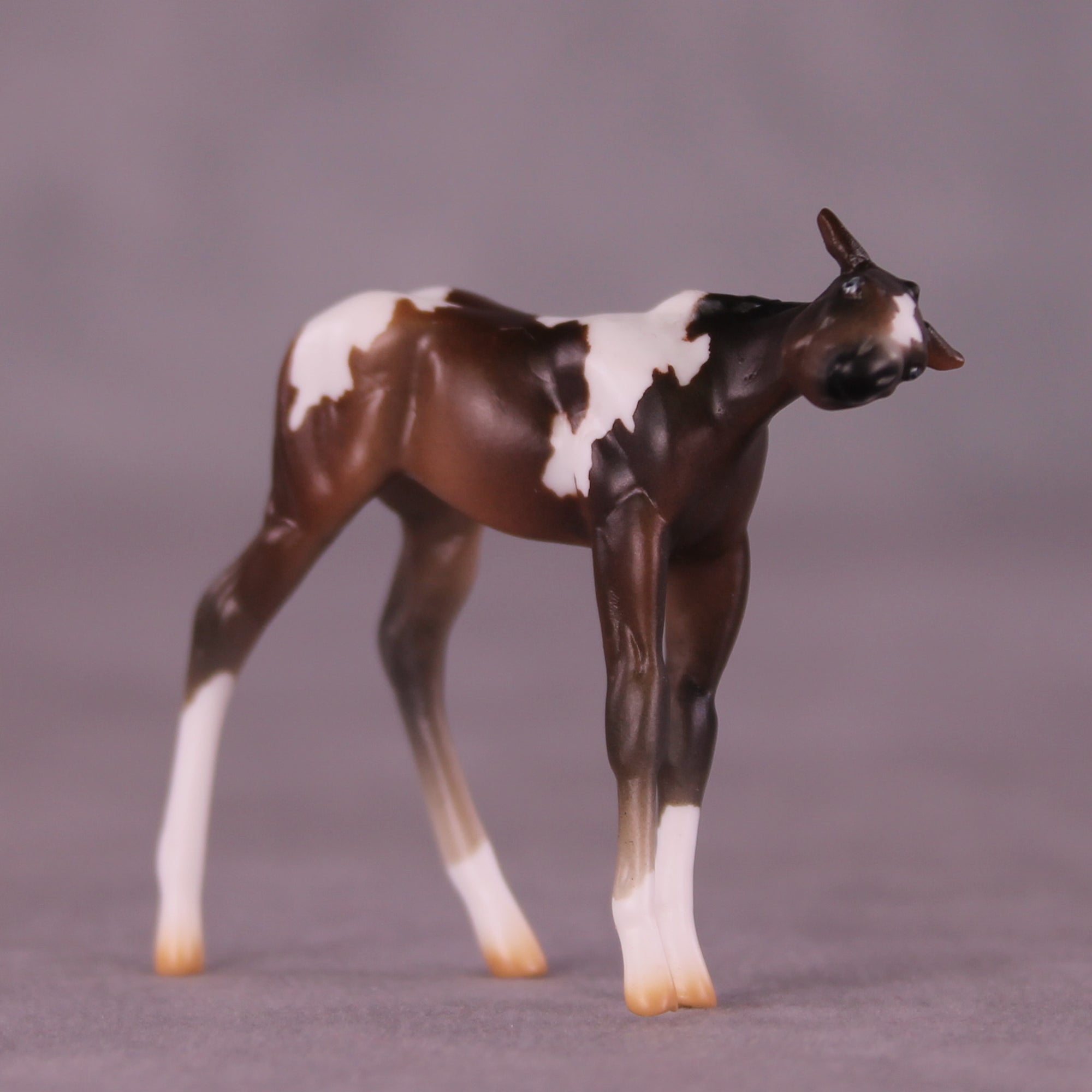 Paparazzi &amp; Flash Photography Set OOAK EFCM Chip Set by Erika Isbell Best Offer 10/7/25