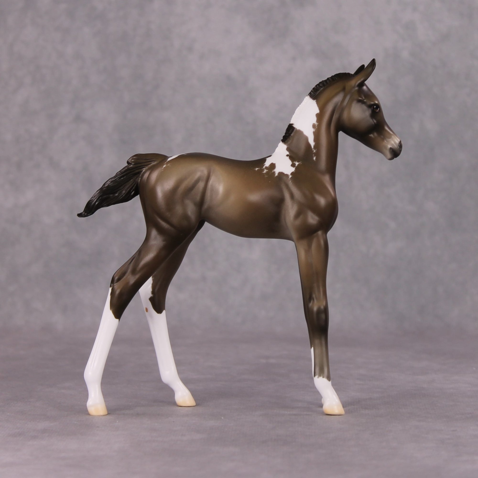Midwinter OOAK Chestnut Pinto Arabian Foal By Jess Hamill HS24
