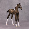 Midwinter OOAK Chestnut Pinto Arabian Foal By Jess Hamill HS24