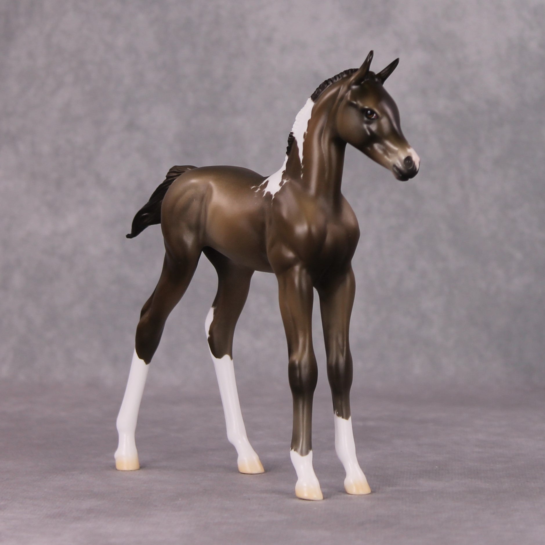 Midwinter OOAK Chestnut Pinto Arabian Foal By Jess Hamill HS24