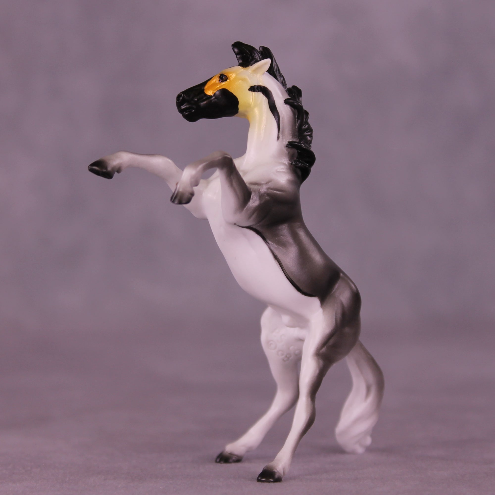 Gunter LE-3 Chip Mustang by Jess Hamill MS25