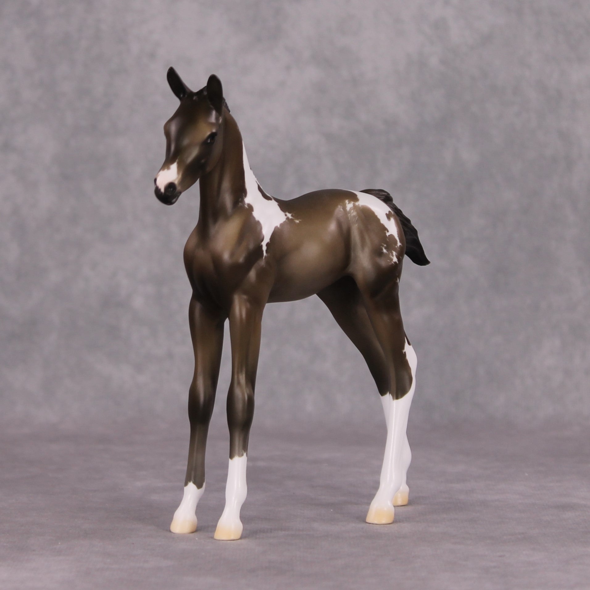 Midwinter OOAK Chestnut Pinto Arabian Foal By Jess Hamill HS24