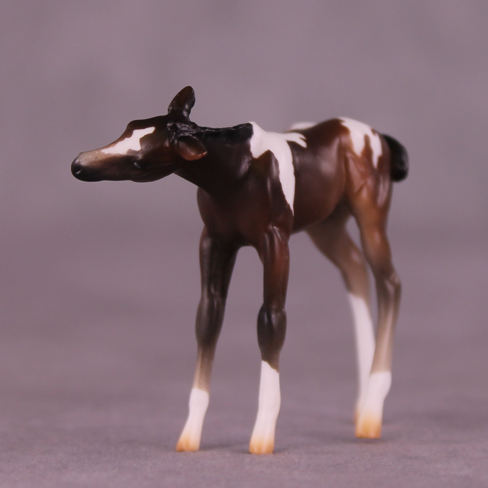 Paparazzi &amp; Flash Photography Set OOAK EFCM Chip Set by Erika Isbell Best Offer 10/7/25