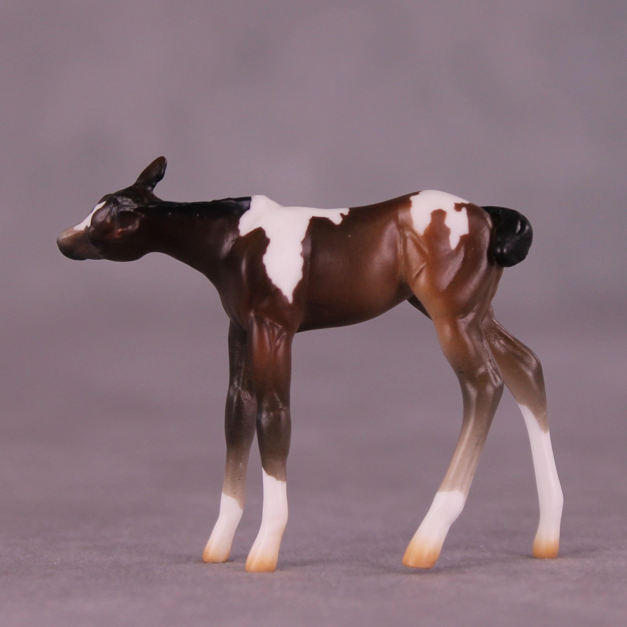 Paparazzi &amp; Flash Photography Set OOAK EFCM Chip Set by Erika Isbell Best Offer 10/7/25