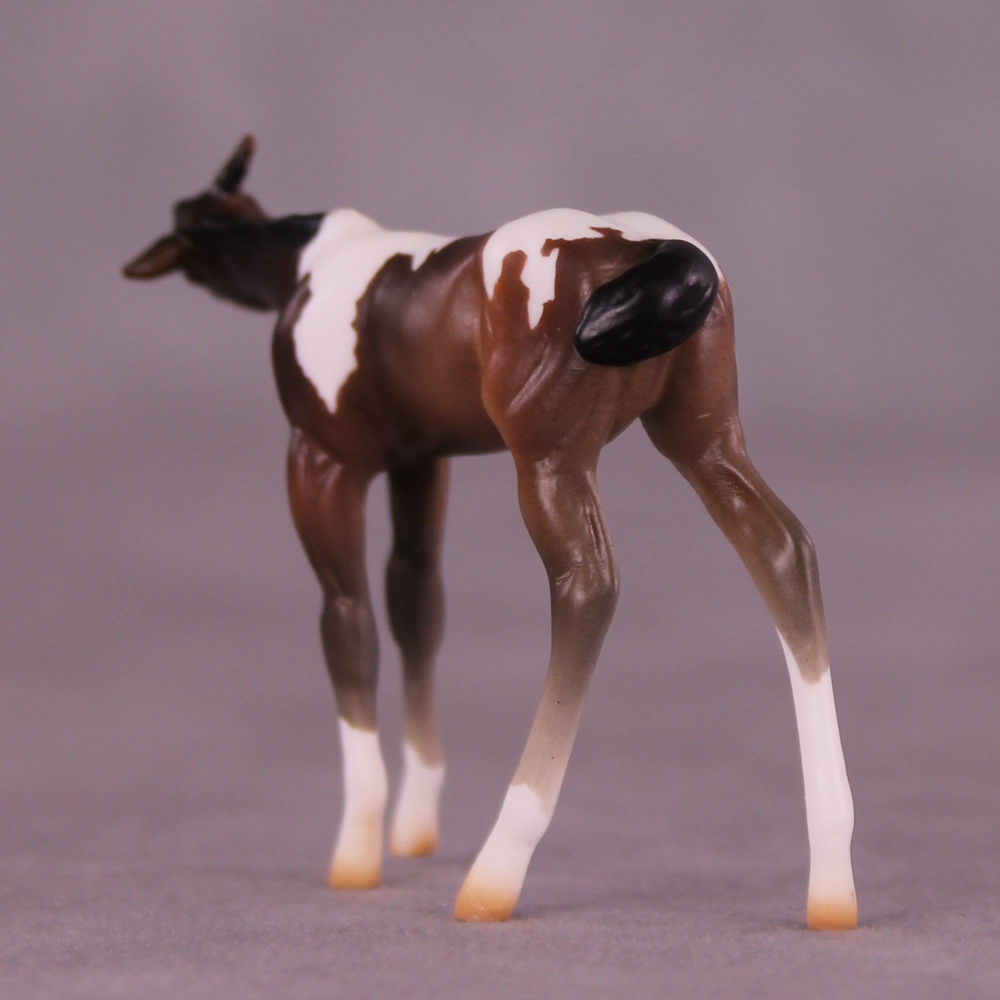 Paparazzi &amp; Flash Photography Set OOAK EFCM Chip Set by Erika Isbell Best Offer 10/7/25