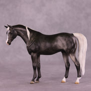Anise OOAK Pebble Arabian by Julie Keim LHS25