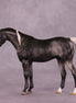 Anise OOAK Pebble Arabian by Julie Keim LHS25