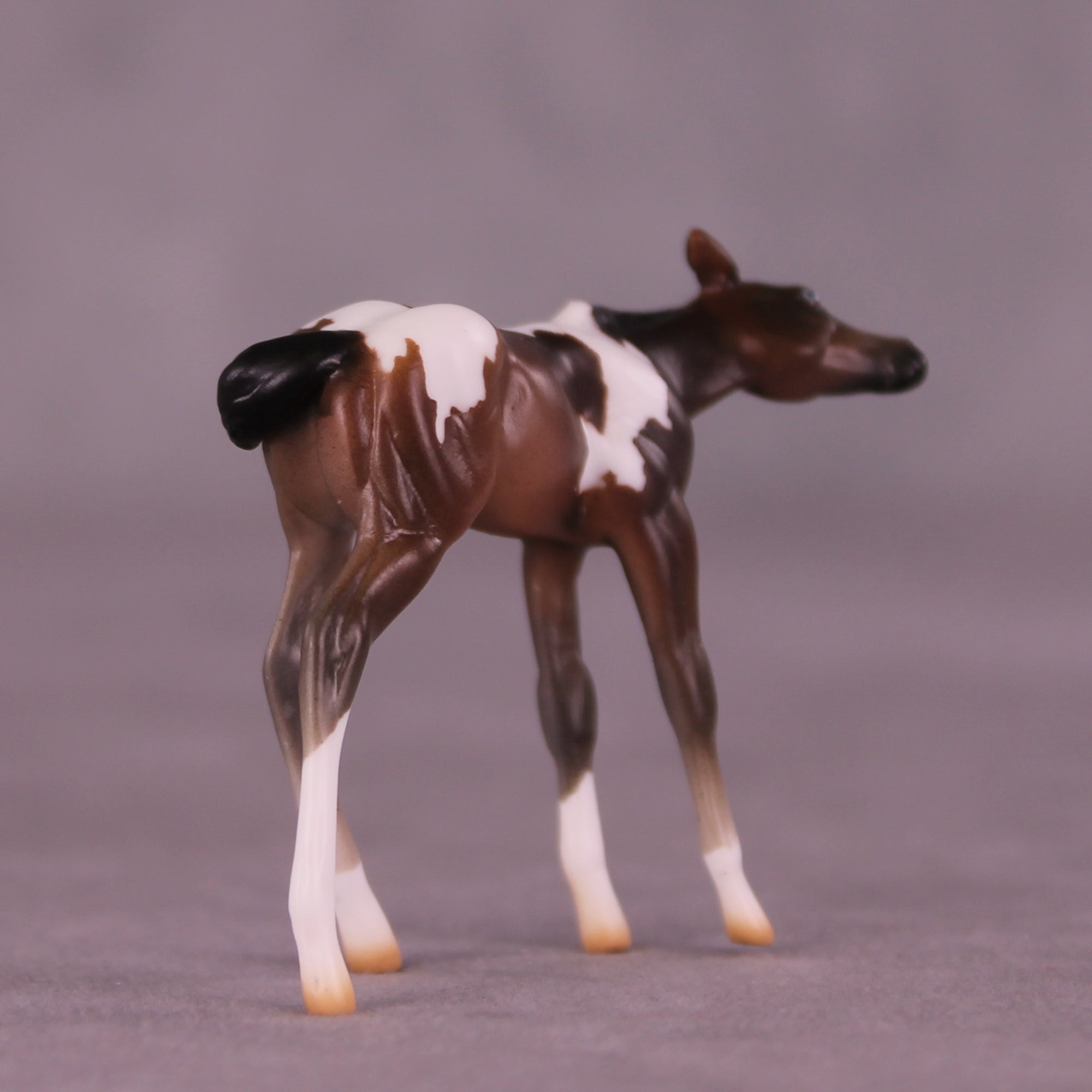 Paparazzi &amp; Flash Photography Set OOAK EFCM Chip Set by Erika Isbell Best Offer 10/7/25