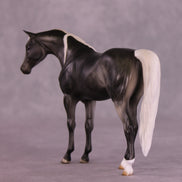 Anise OOAK Pebble Arabian by Julie Keim LHS25