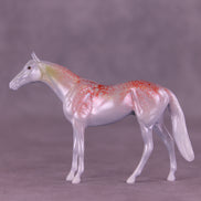Krilling It LE-3 Chip Thoroughbred by Jess Hamill MS25