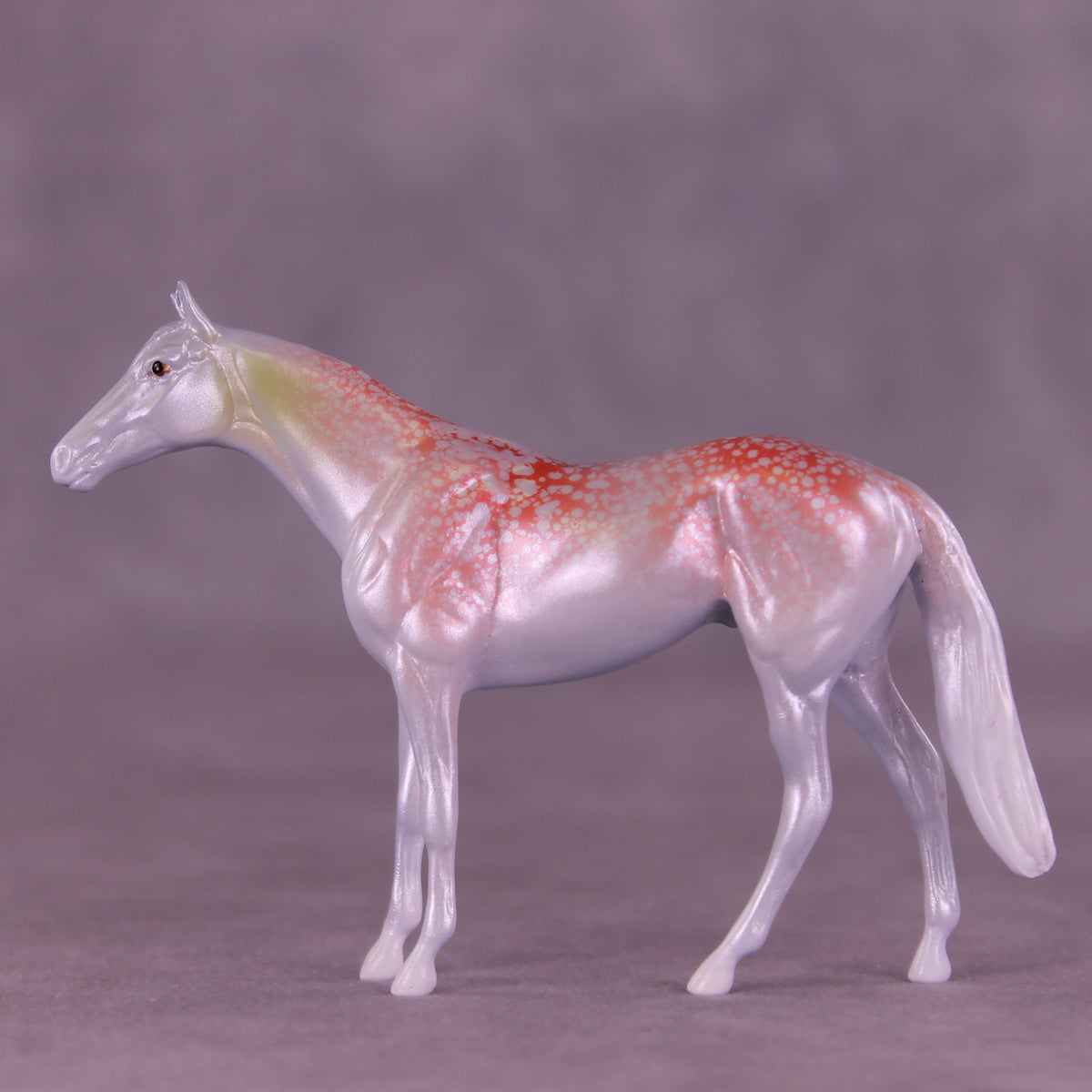 Krilling It LE-3 Chip Thoroughbred by Jess Hamill MS25
