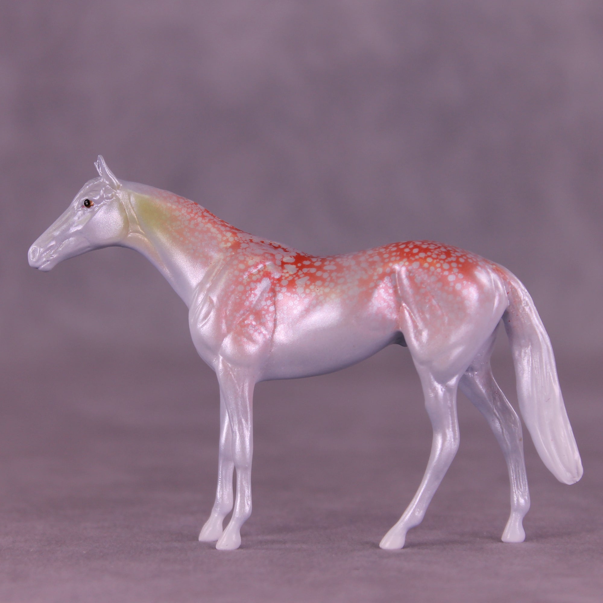 Krilling It LE-3 Chip Thoroughbred by Jess Hamill MS25