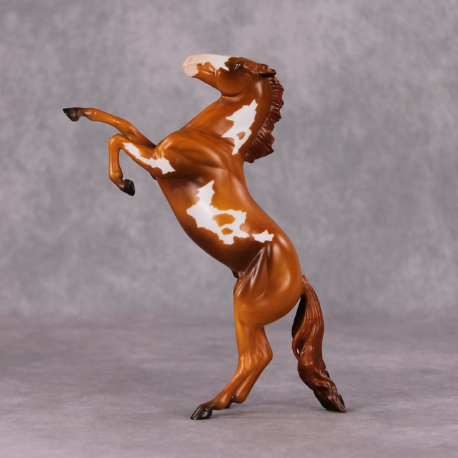 "Regulator" OOAK Rearing Pebble By Jamie Adamson SHCF25OS