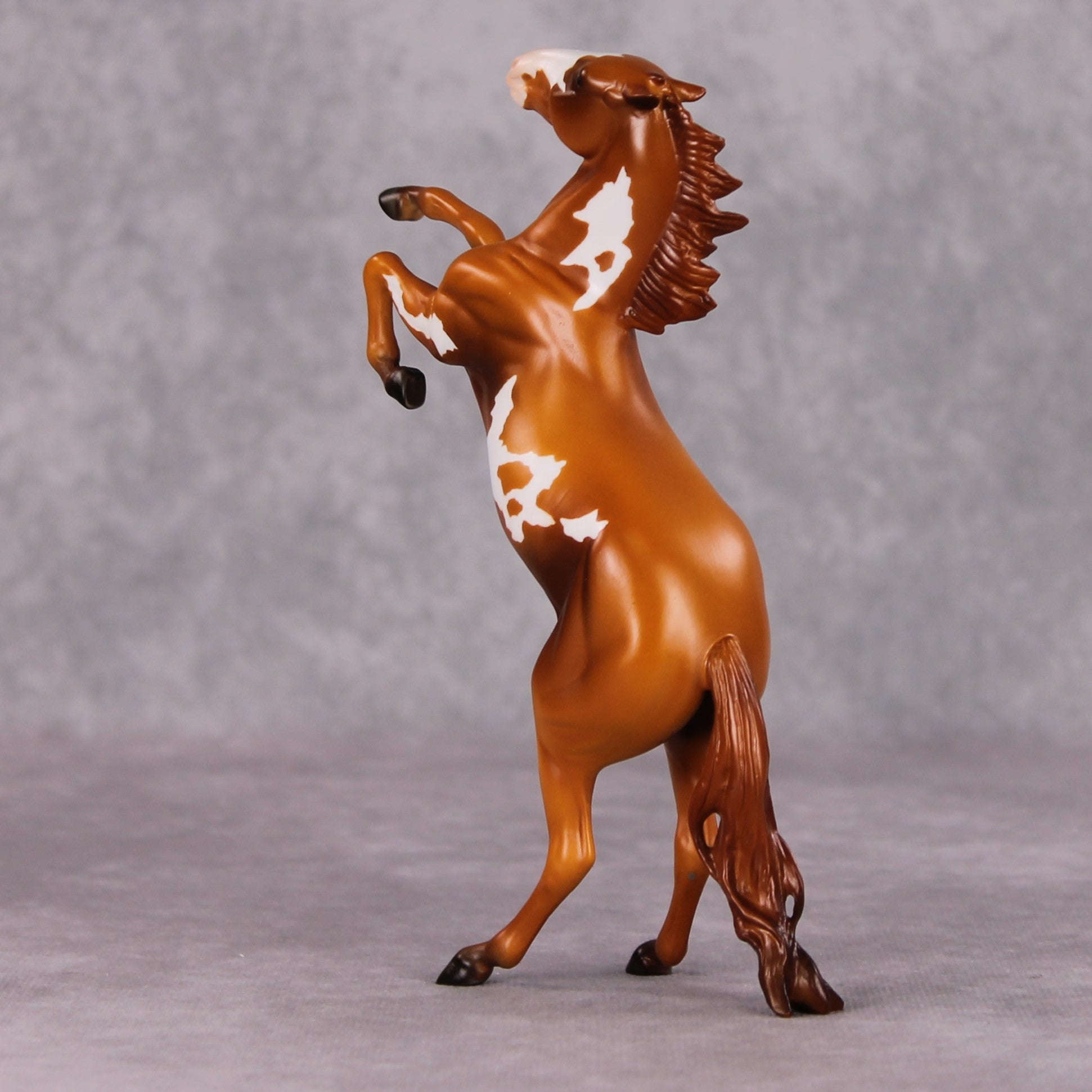 "Regulator" OOAK Rearing Pebble By Jamie Adamson SHCF25OS