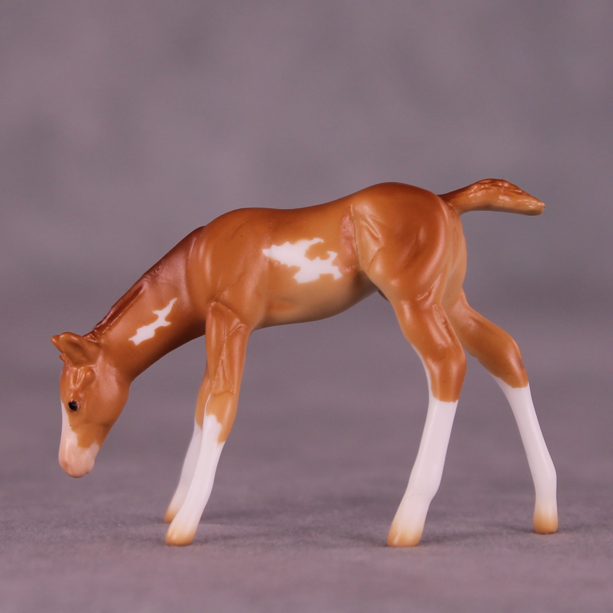 Willow OOAK EFCM Chip Foal by Erika Isbell Best Offer 11/11/25