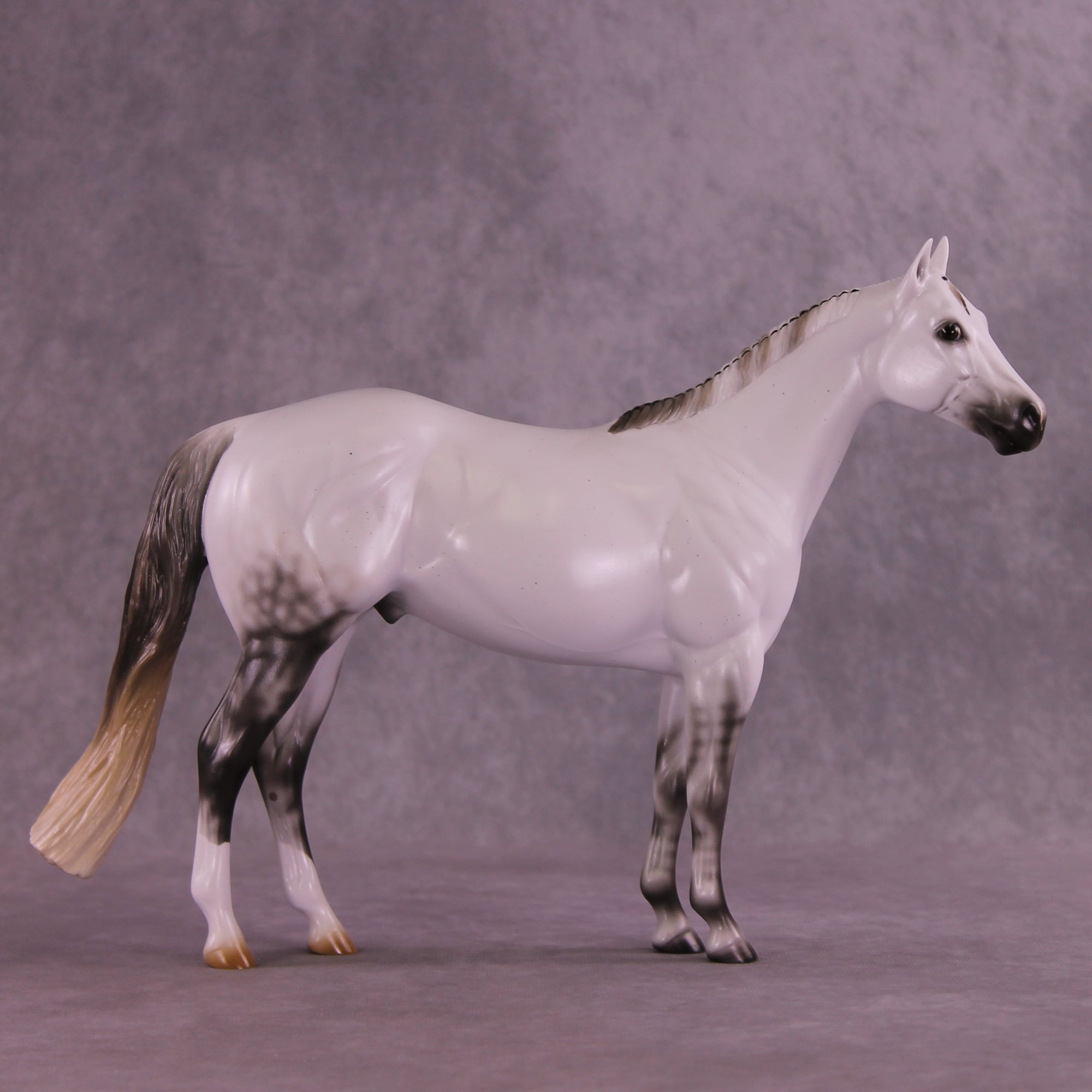 Pre-Order Mesa Achiever LE-30 FCM Ideal Stock Horse by Ashley Palmer TS25