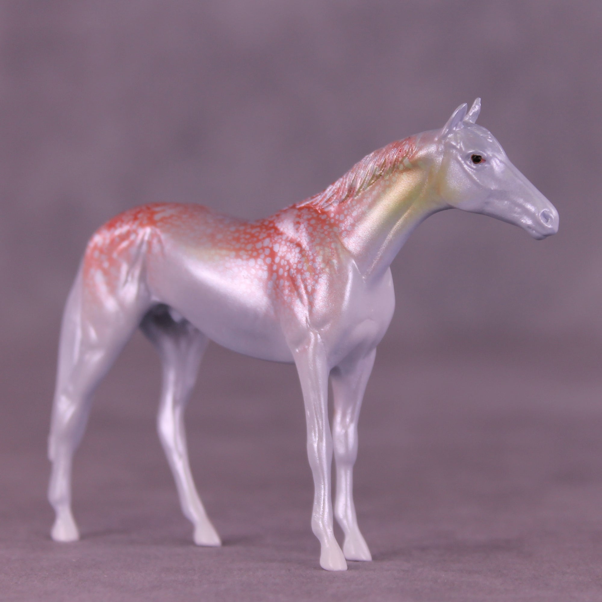 Krilling It LE-3 Chip Thoroughbred by Jess Hamill MS25
