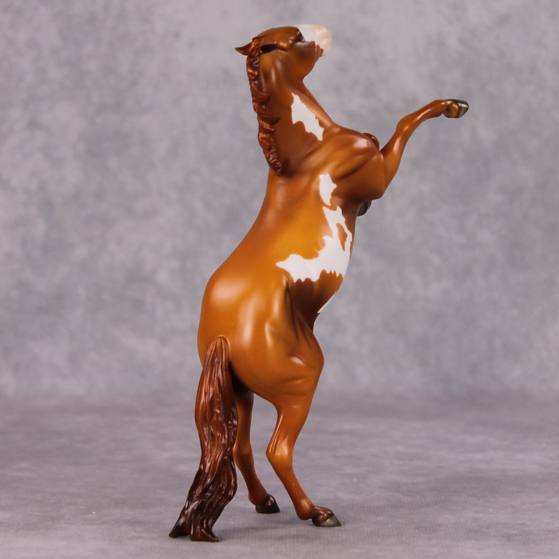 "Regulator" OOAK Rearing Pebble By Jamie Adamson SHCF25OS