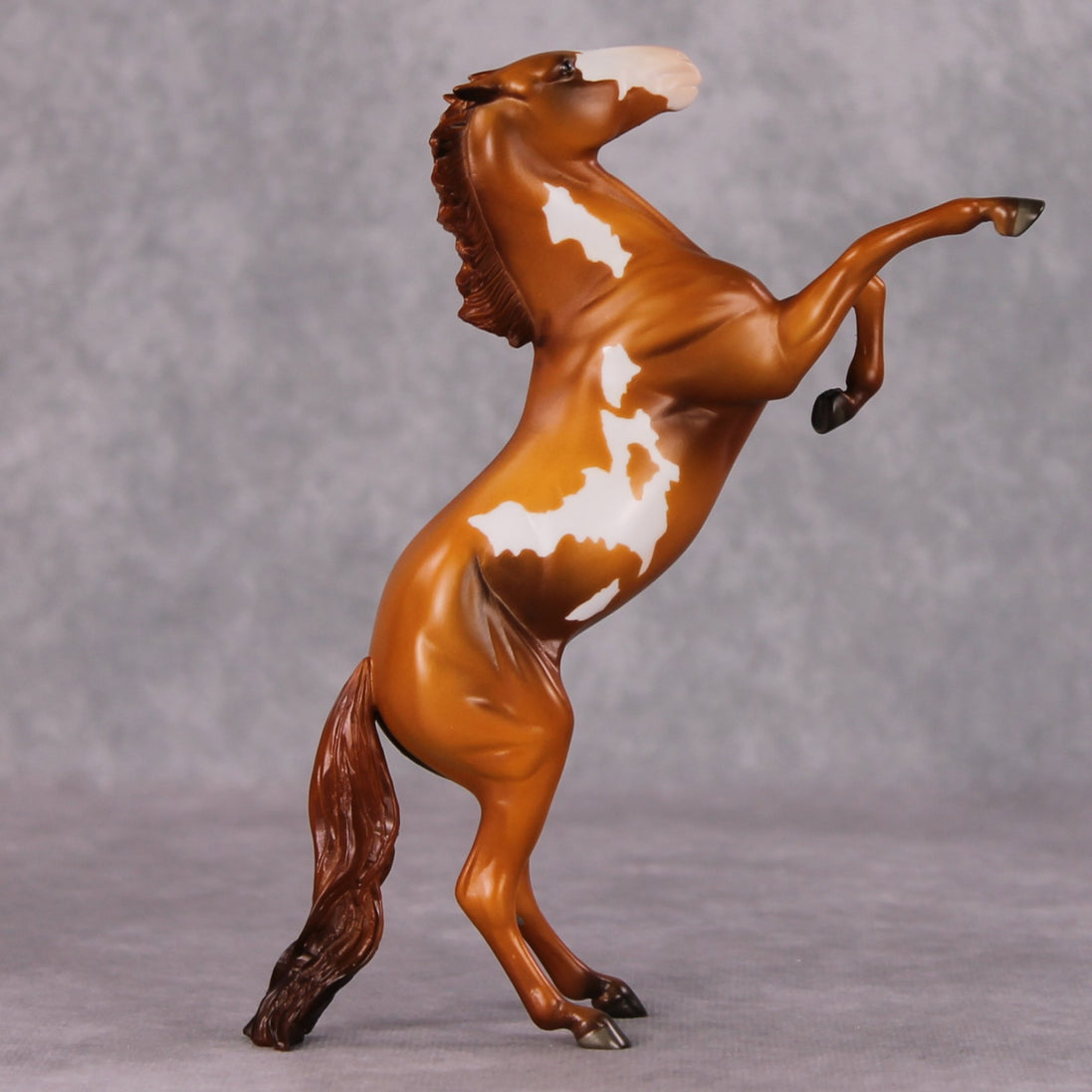 "Regulator" OOAK Rearing Pebble By Jamie Adamson SHCF25OS