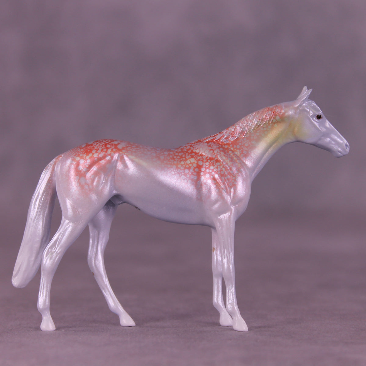 Krilling It LE-3 Chip Thoroughbred by Jess Hamill MS25