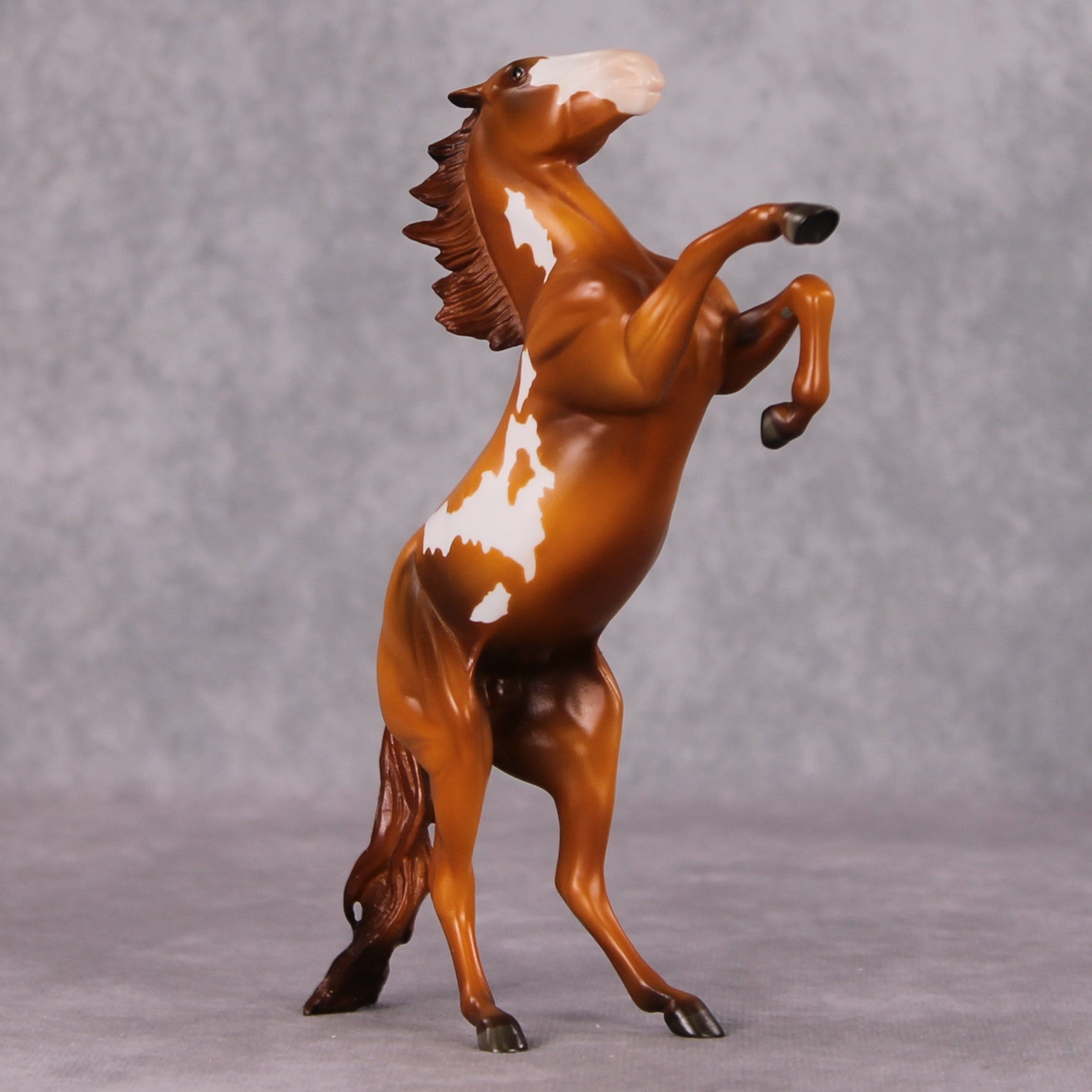 "Regulator" OOAK Rearing Pebble By Jamie Adamson SHCF25OS