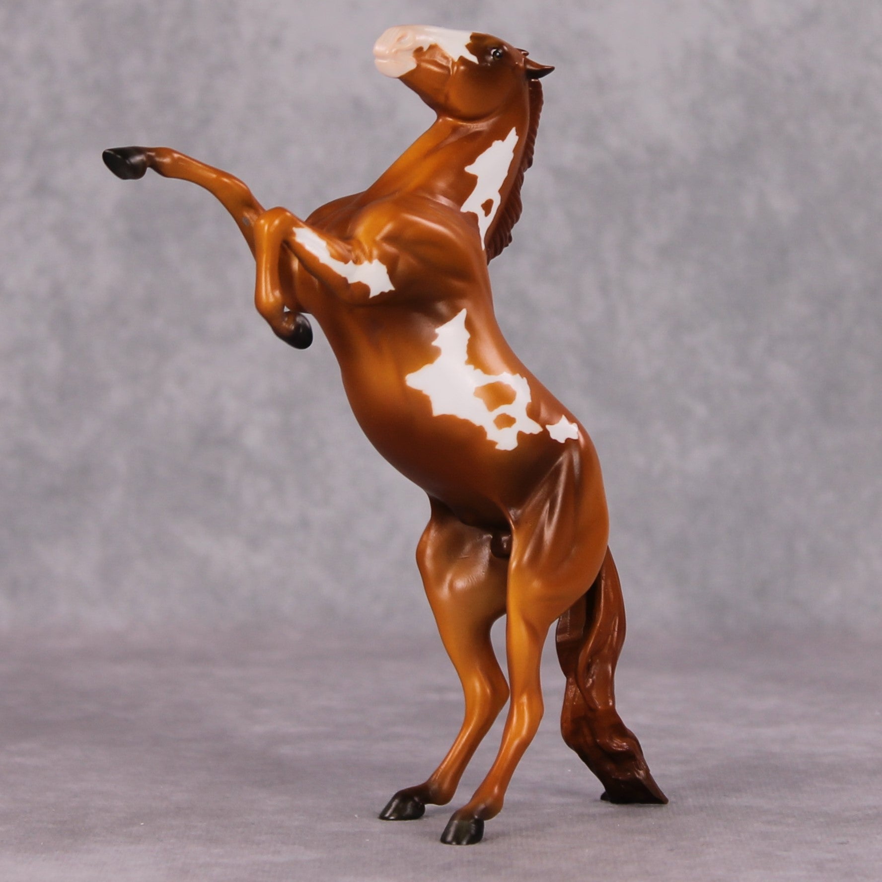 "Regulator" OOAK Rearing Pebble By Jamie Adamson SHCF25OS