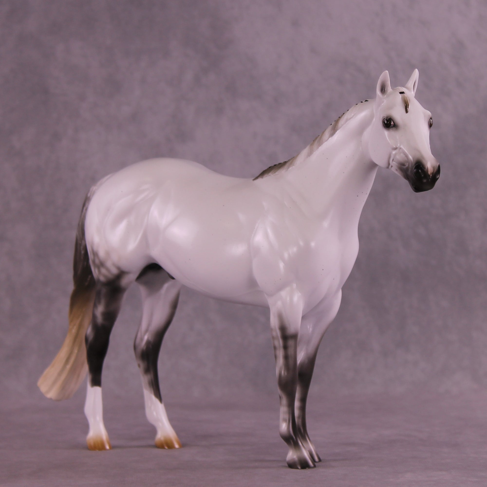 Pre-Order Mesa Achiever LE-30 FCM Ideal Stock Horse by Ashley Palmer TS25