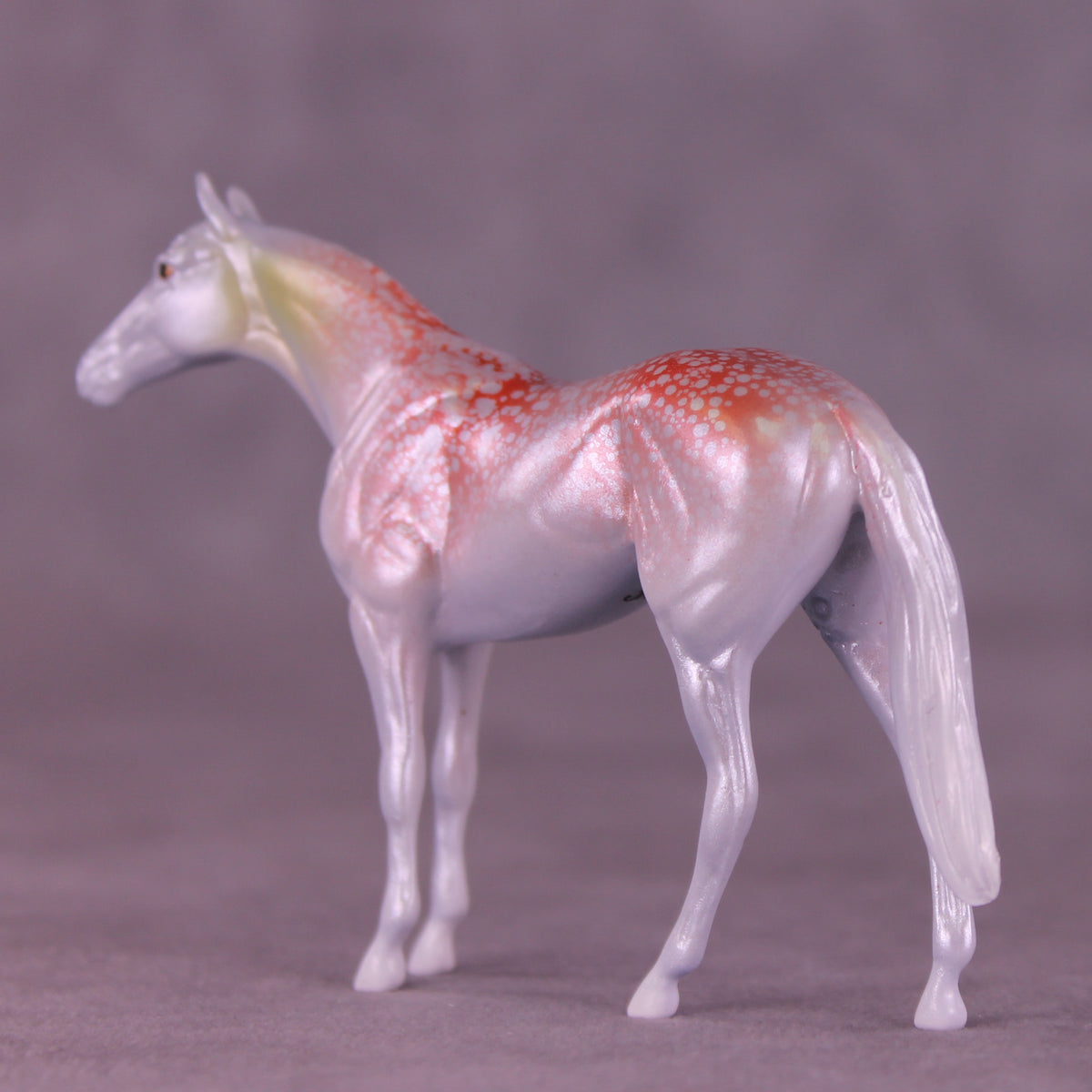 Krilling It LE-3 Chip Thoroughbred by Jess Hamill MS25
