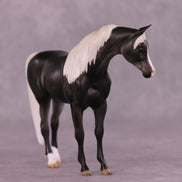 Anise OOAK Pebble Arabian by Julie Keim LHS25