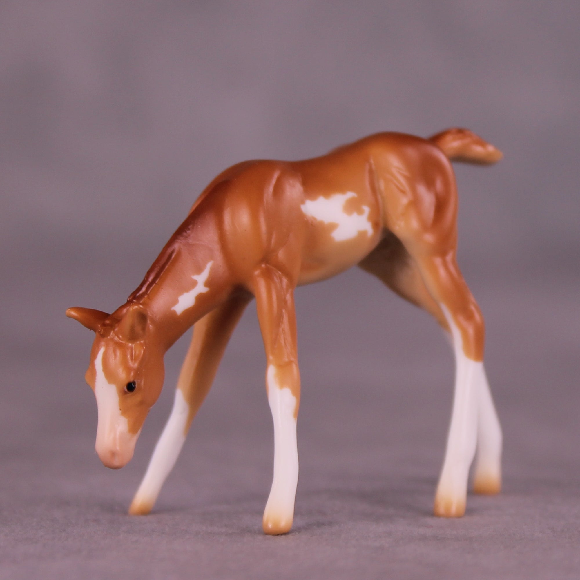 Willow OOAK EFCM Chip Foal by Erika Isbell Best Offer 11/11/25