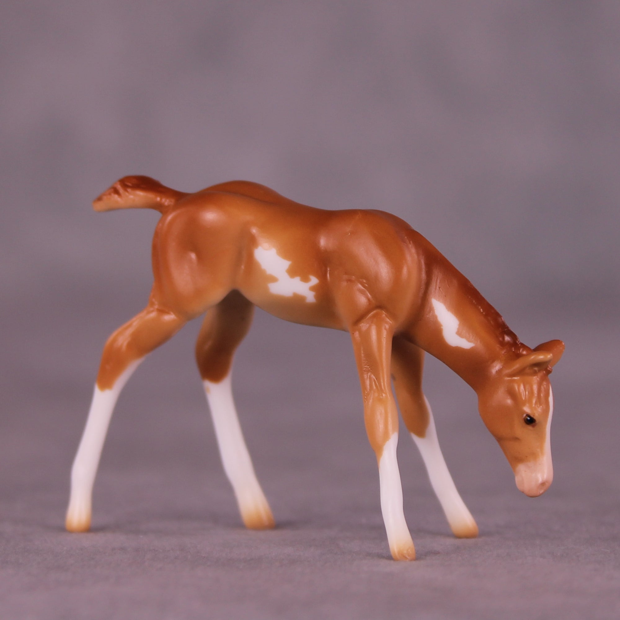 Willow OOAK EFCM Chip Foal by Erika Isbell Best Offer 11/11/25