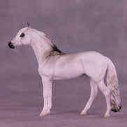 Hunter LE-3 Chip Andalusian by Jess Hamill MS25