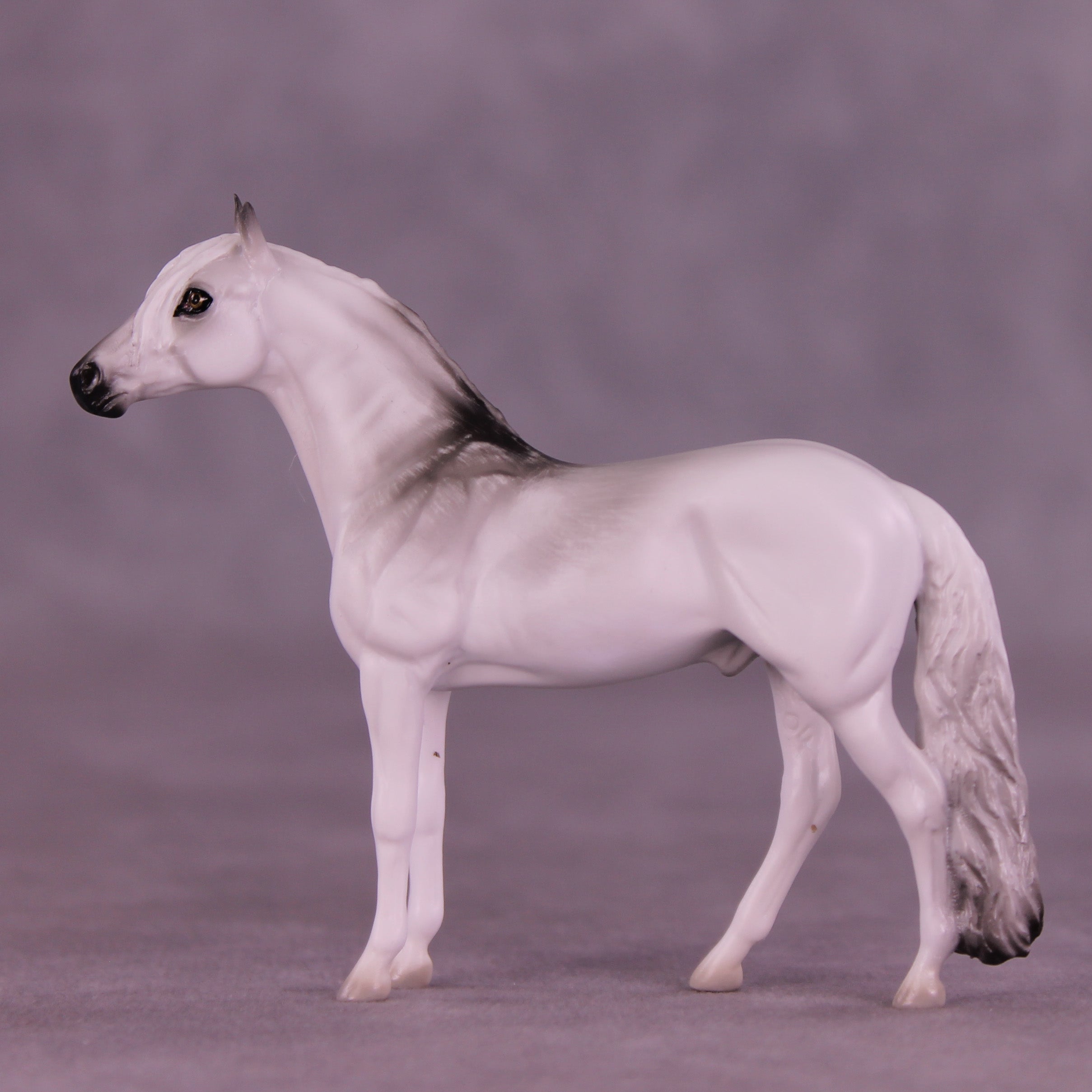 Hunter LE-3 Chip Andalusian by Jess Hamill MS25