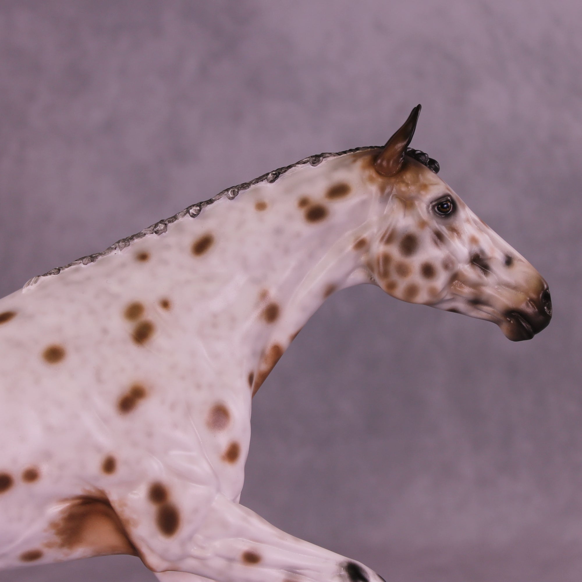 Flavor Fiesta OOAK FCM Volo by Sheryl Leisure Best Offer 12/02/2025