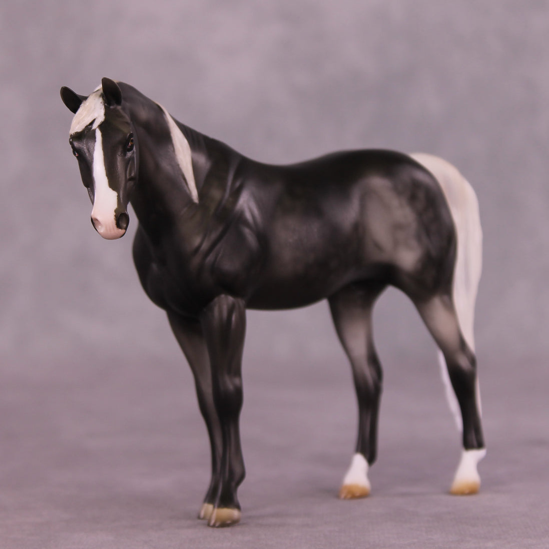 Anise OOAK Pebble Arabian by Julie Keim LHS25