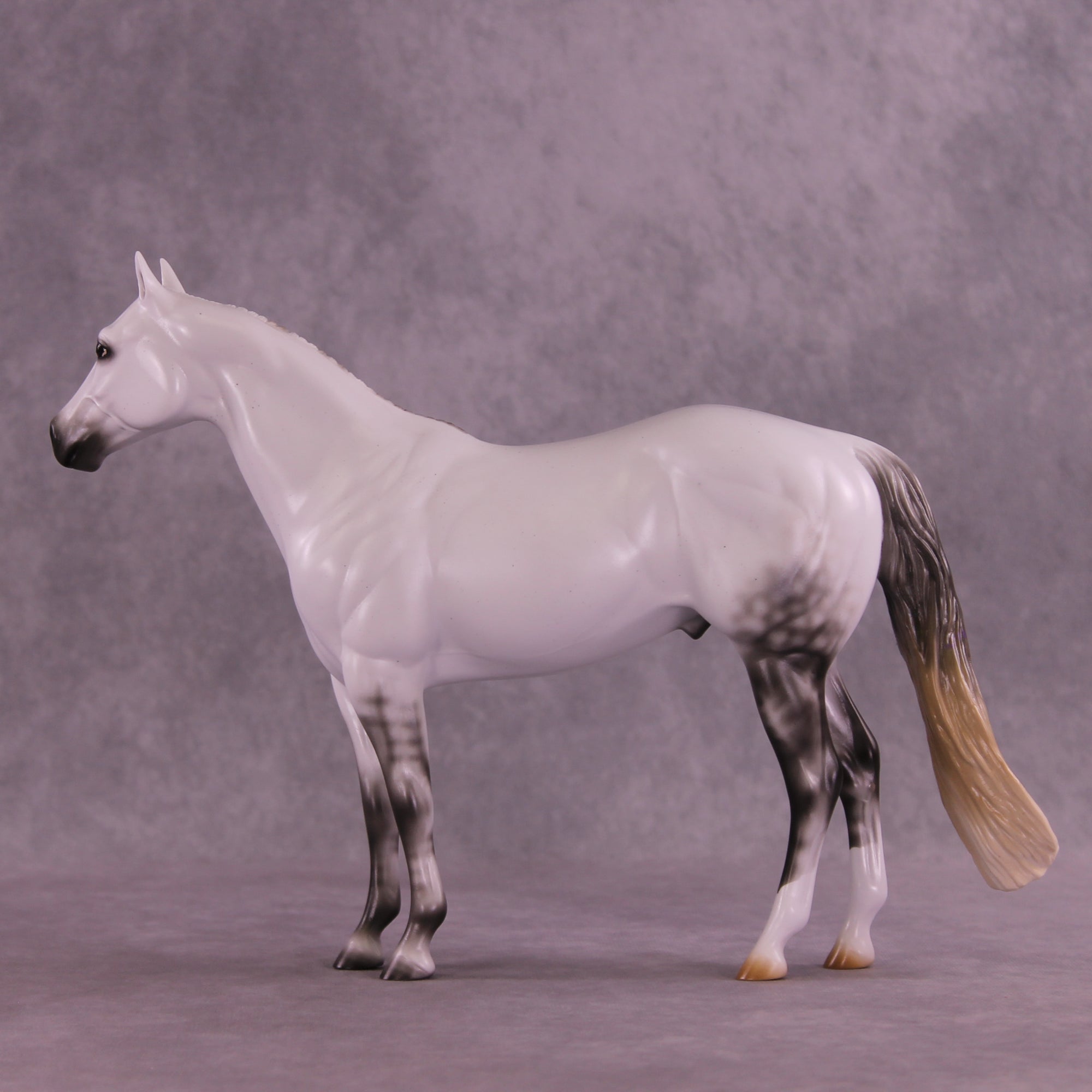 Pre-Order Mesa Achiever LE-30 FCM Ideal Stock Horse by Ashley Palmer TS25