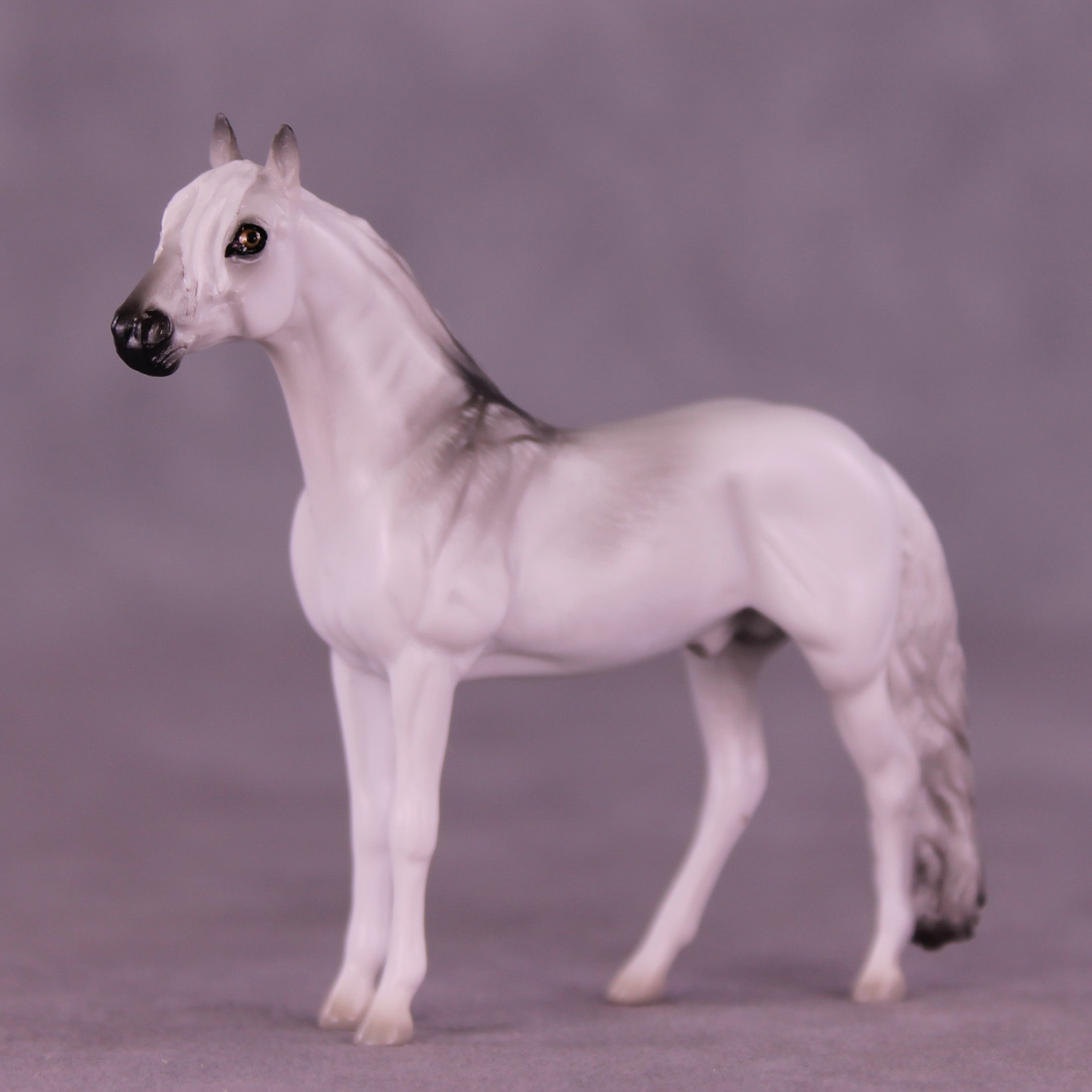 Hunter LE-3 Chip Andalusian by Jess Hamill MS25
