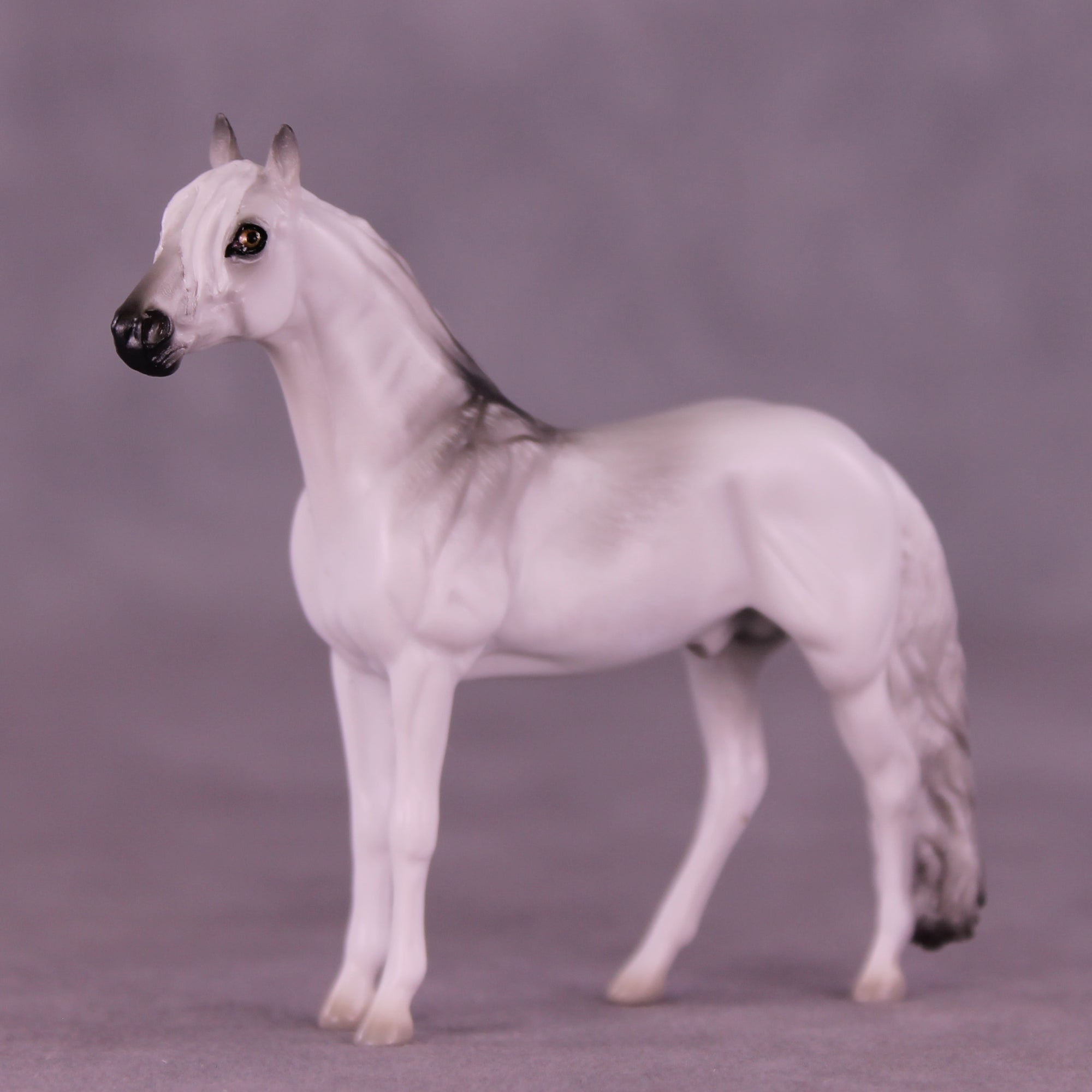 Hunter LE-3 Chip Andalusian by Jess Hamill MS25
