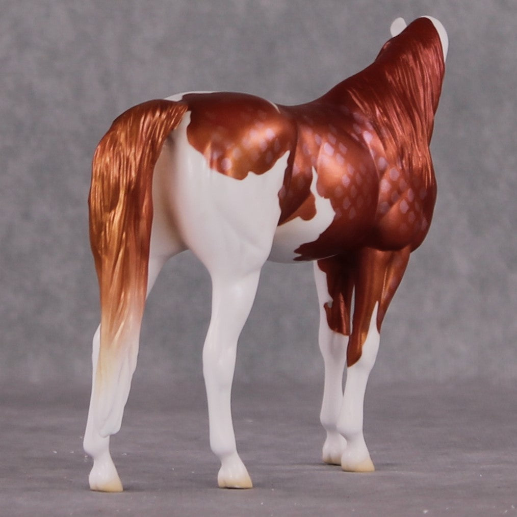 "Goshiki" OOAK Koi Inspired Pebble Arabian Mare by Jess Hamill