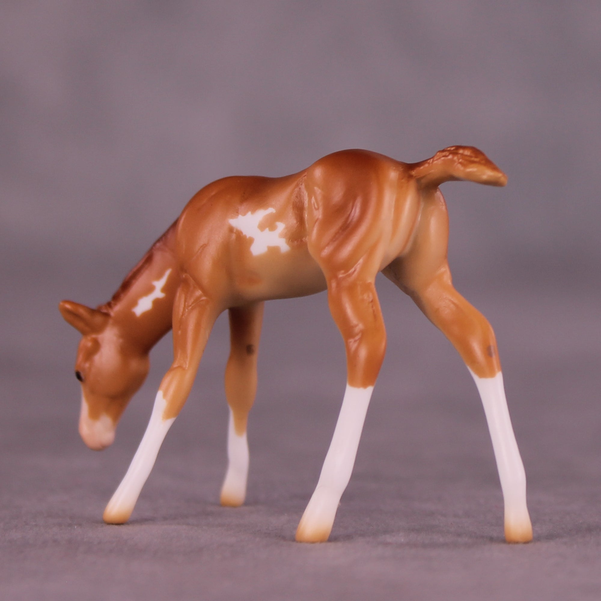 Willow OOAK EFCM Chip Foal by Erika Isbell Best Offer 11/11/25