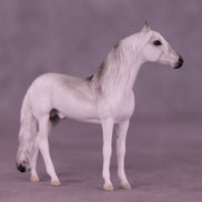 Hunter LE-3 Chip Andalusian by Jess Hamill MS25