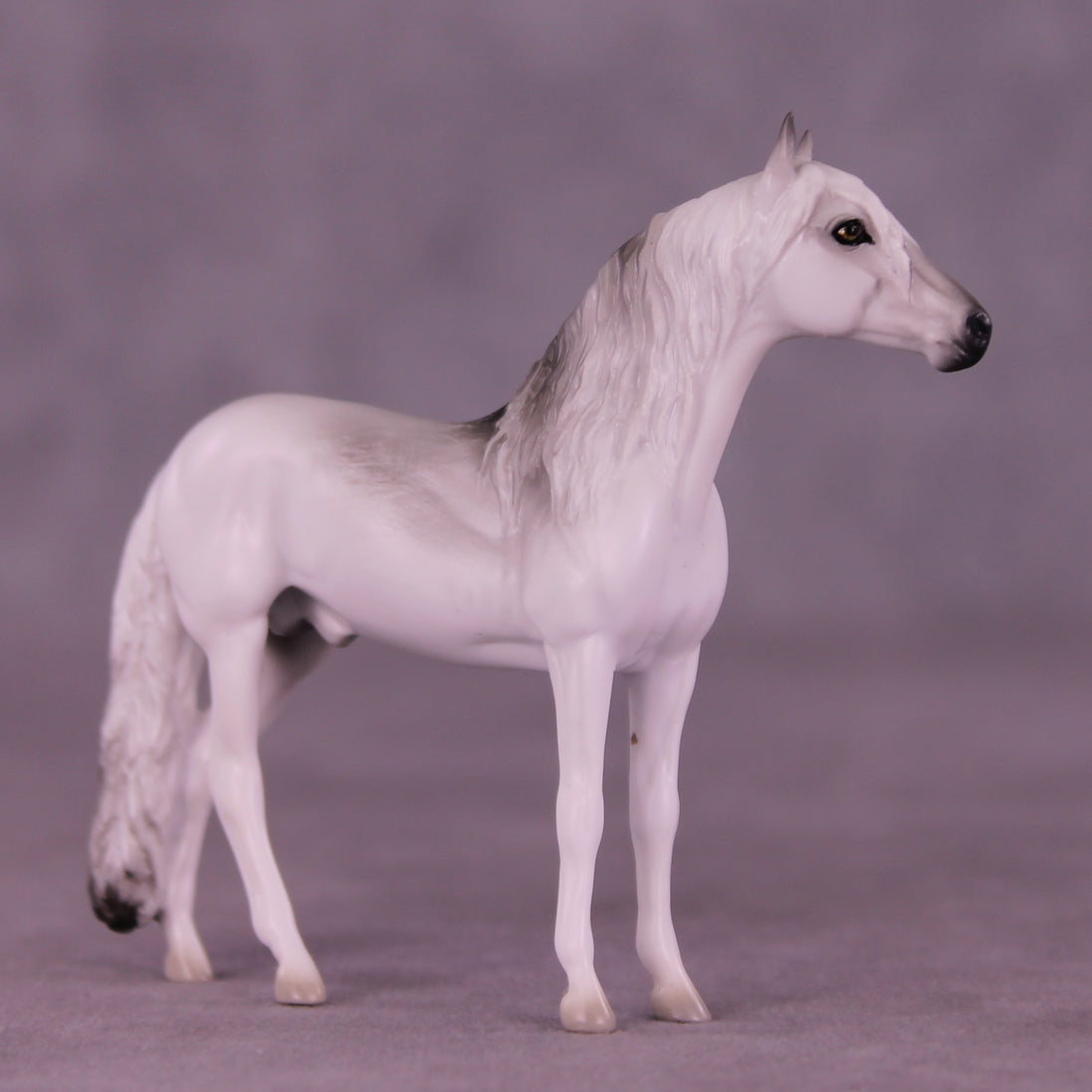 Hunter LE-3 Chip Andalusian by Jess Hamill MS25