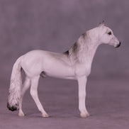 Hunter LE-3 Chip Andalusian by Jess Hamill MS25