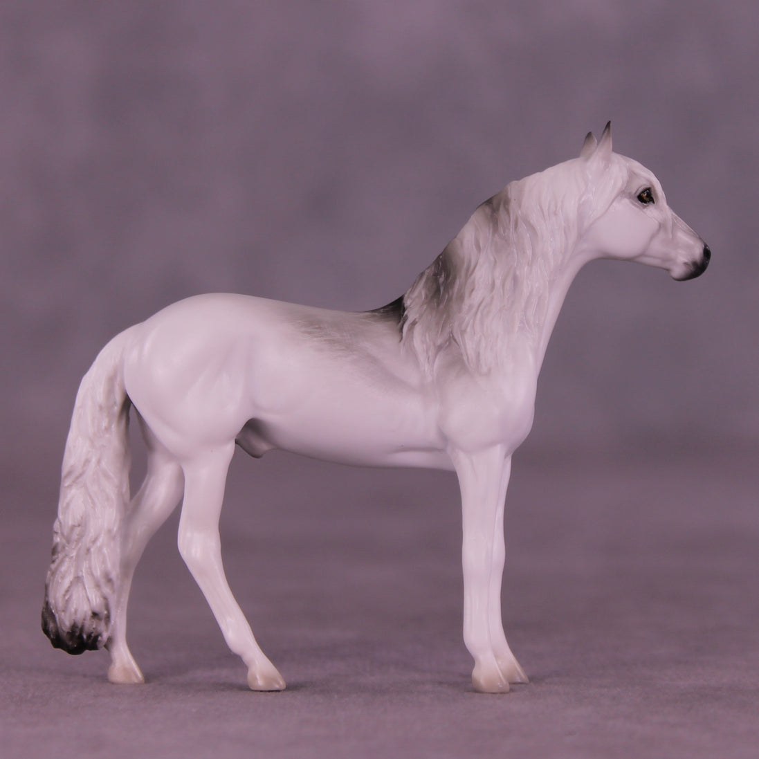 Hunter LE-3 Chip Andalusian by Jess Hamill MS25