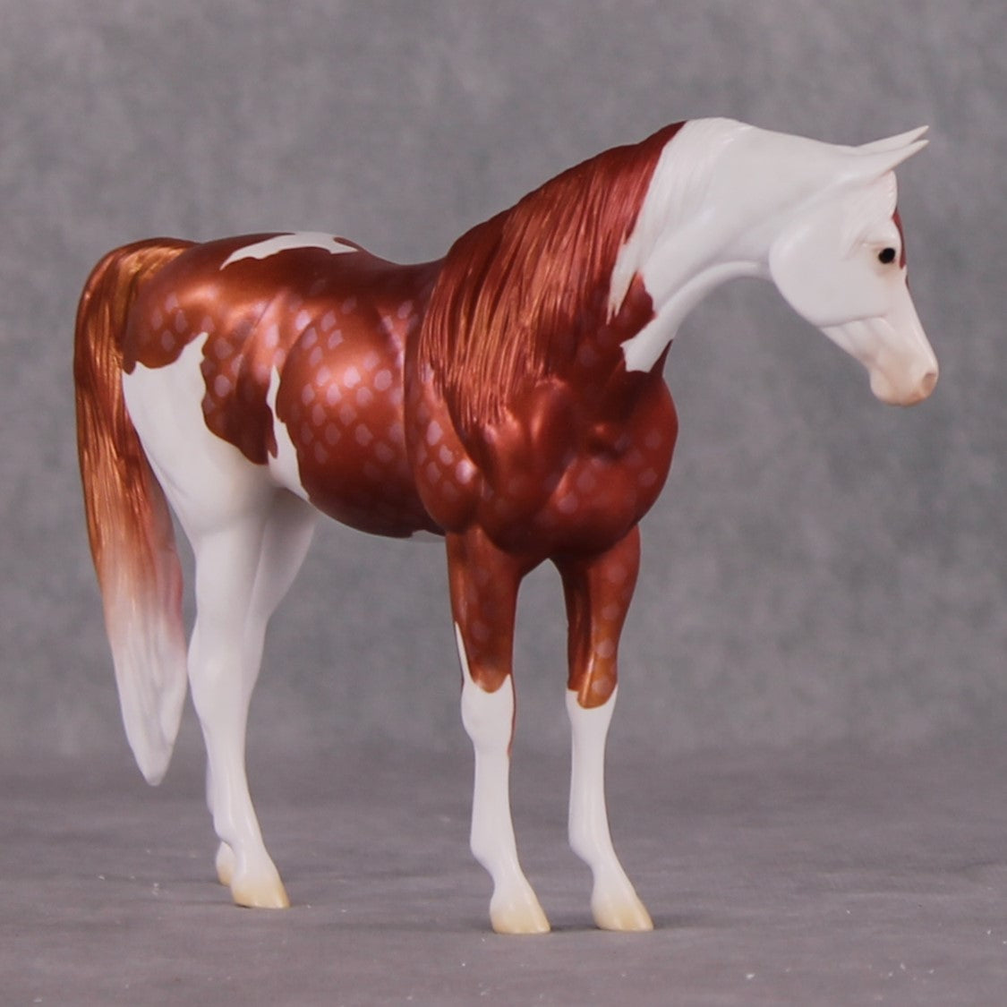 "Goshiki" OOAK Koi Inspired Pebble Arabian Mare by Jess Hamill