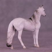Hunter LE-3 Chip Andalusian by Jess Hamill MS25