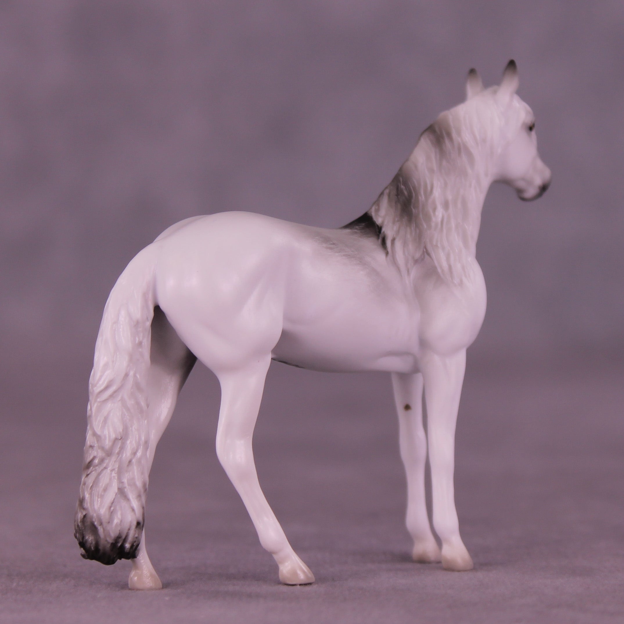 Hunter LE-3 Chip Andalusian by Jess Hamill MS25