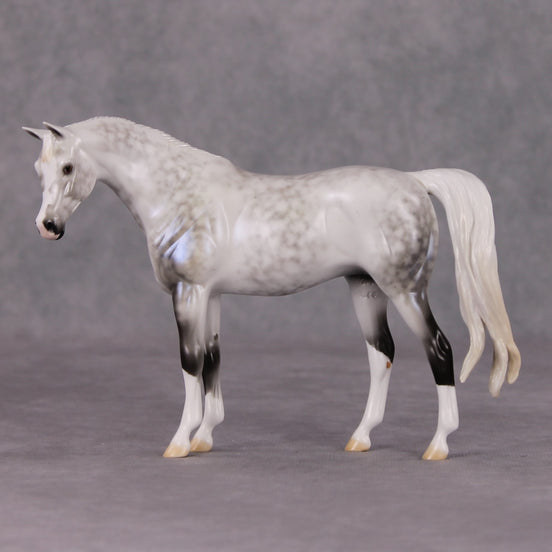 Serene Snowfall OOAK Light Dapple Pearl Grey W/ Blue Interference Custom Arabian Pebble By Ellen Robbins HS24