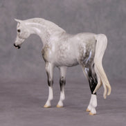 Serene Snowfall OOAK Light Dapple Pearl Grey W/ Blue Interference Custom Arabian Pebble By Ellen Robbins HS24